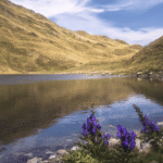 Top 5 Must-Visit Places in India Travel 2026